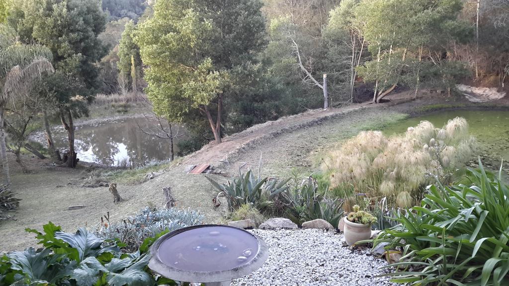 Masescha Country Estate *